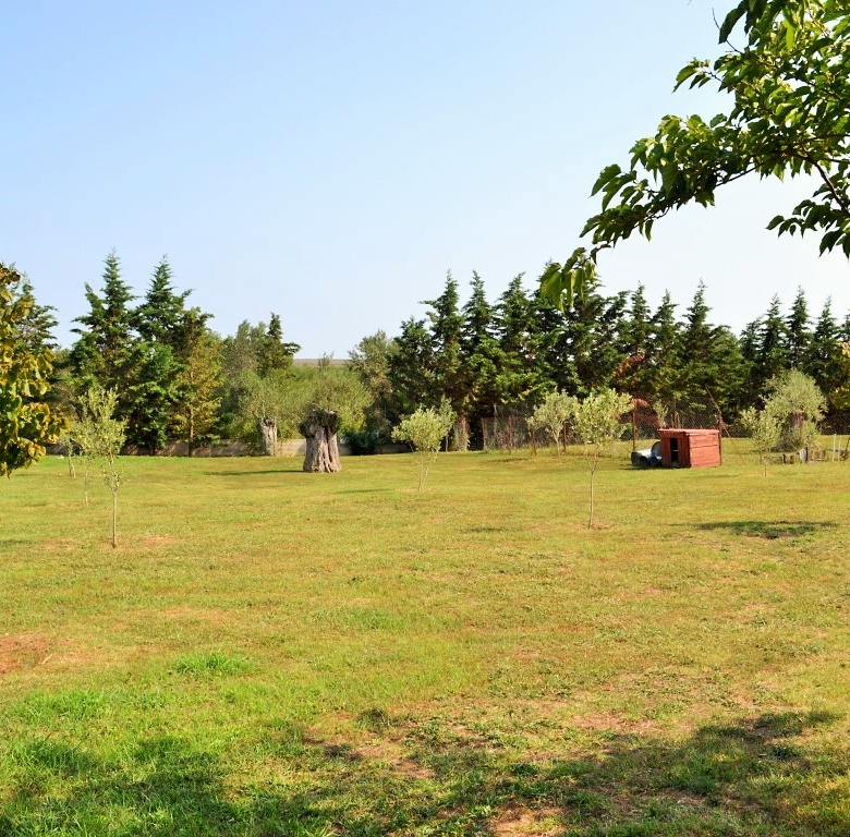 For Sale – Villa 400 m² in Chalkidiki