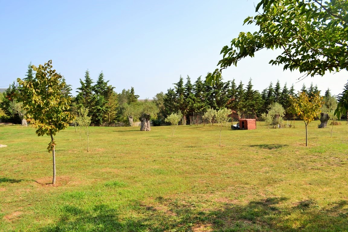 For Sale – Villa 400 m² in Chalkidiki