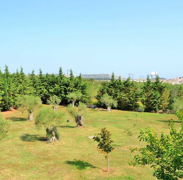 For Sale – Villa 400 m² in Chalkidiki